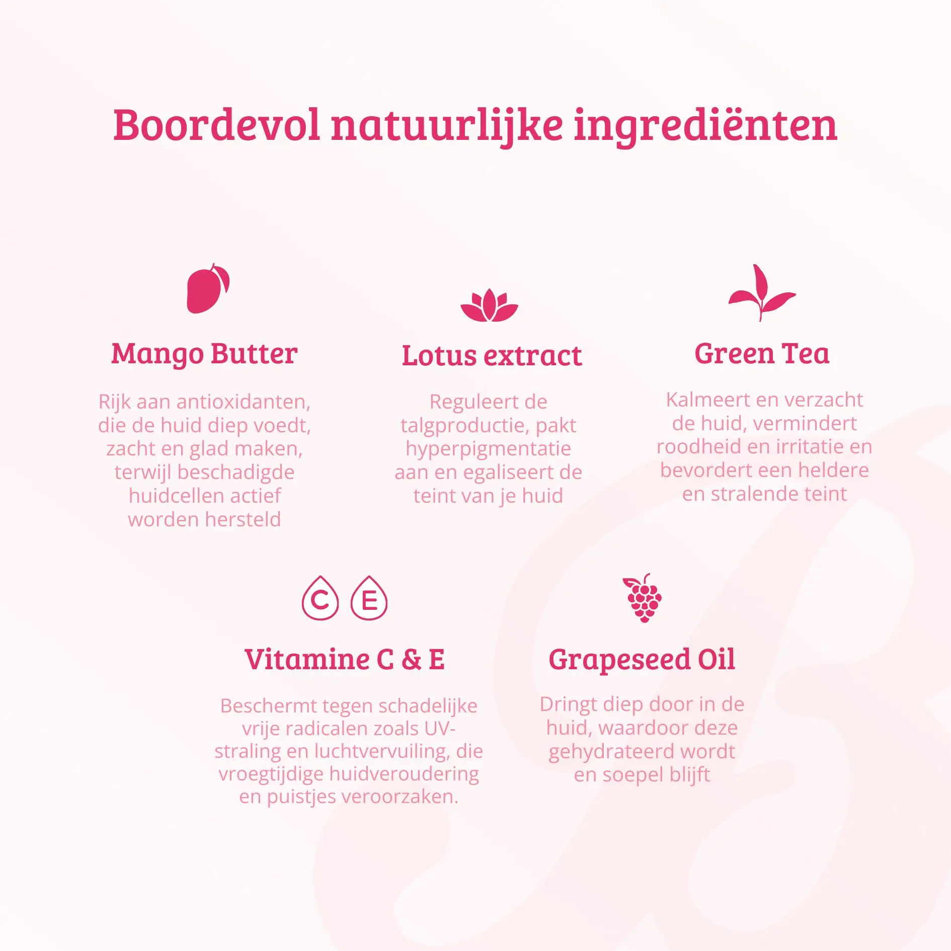 Productafbeelding 6